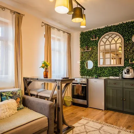 Hanul Anei - Entire Villa Brasov