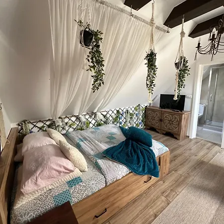 Hanul Anei - Entire Villa