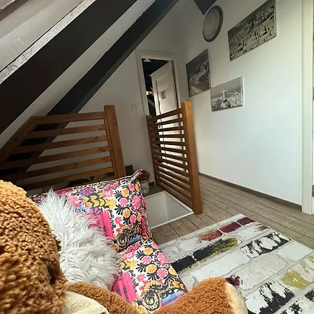 Villa Hanul Anei - Entire