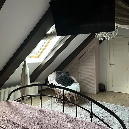 فيلة Hanul Anei - Entire براشوف