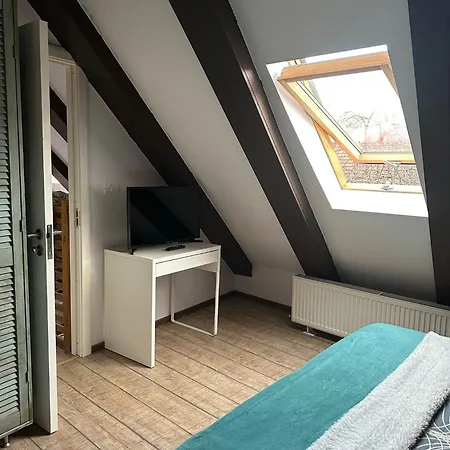 Villa Hanul Anei - Entire *