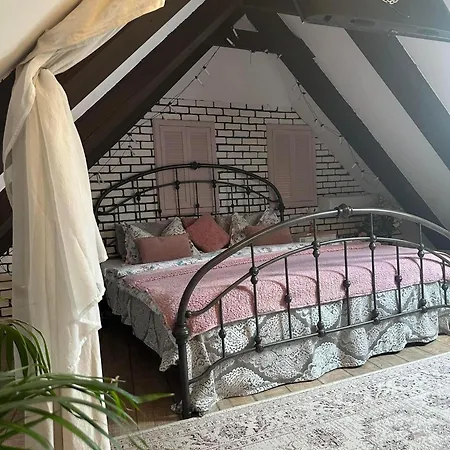 Hanul Anei - Entire Villa