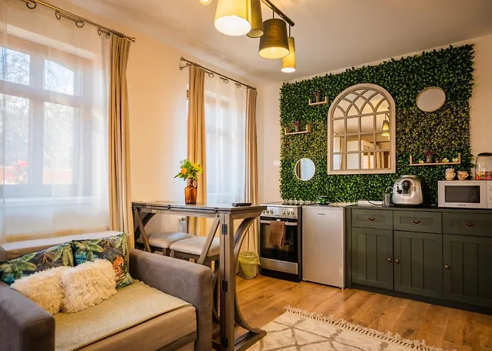 Hanul Anei - Entire Villa Brasov