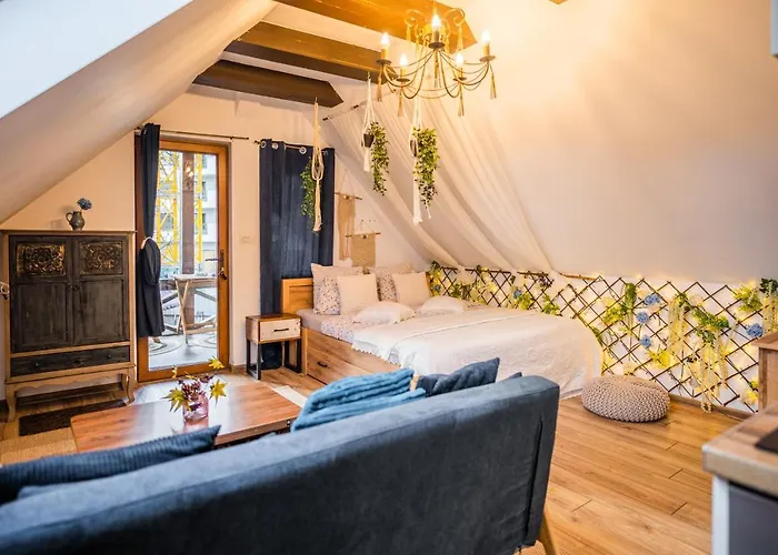 Villa Hanul Anei - Entire *