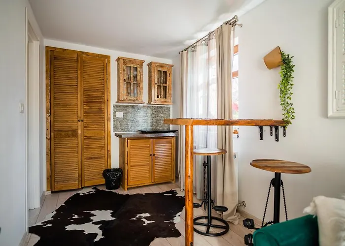 Hanul Anei - Entire Villa Brasov