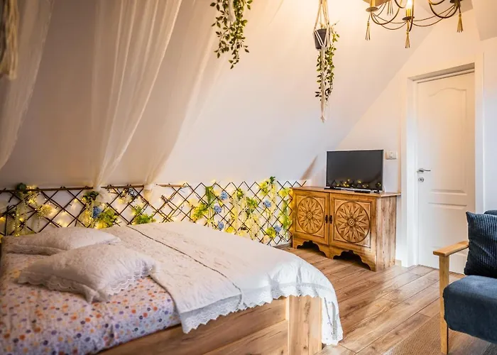 Villa Hanul Anei - Entire