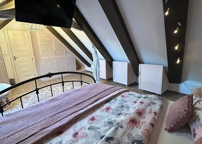 Villa Hanul Anei - Entire *