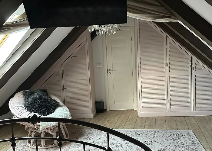 Villa Hanul Anei - Entire *