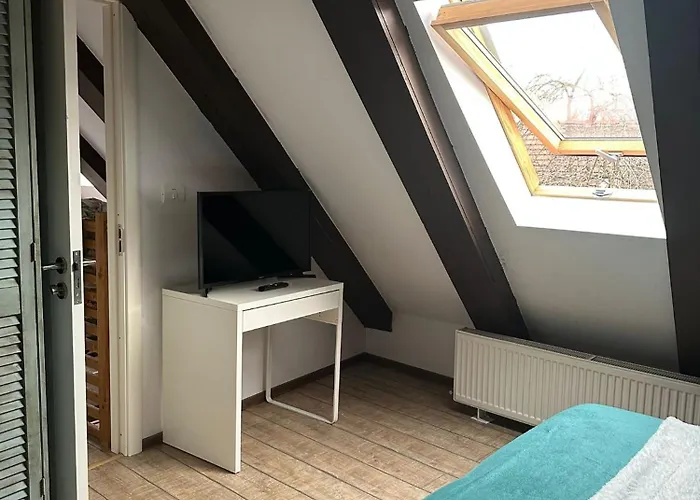 Villa Hanul Anei - Entire *