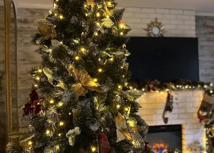 Villa Hanul Anei - Entire *